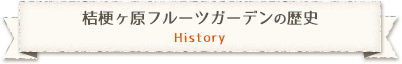 桔梗ヶ原フルーツガーデンの歴史