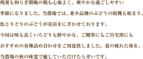 残暑も和らぎ朝晩の風も心地よく、爽やかな過ごしやすい季節になりました。当農場では、希少品種のぶどうの収穫も始まり、色とりどりのぶどうが売店をにぎわせております。今回は味も良くいろどりも鮮やかな、ご贈答にもご自宅用にもおすすめの各種詰め合わせをご用意致しました。夏の疲れた体を、当農場の秋の味覚で癒していただけたら幸いです。